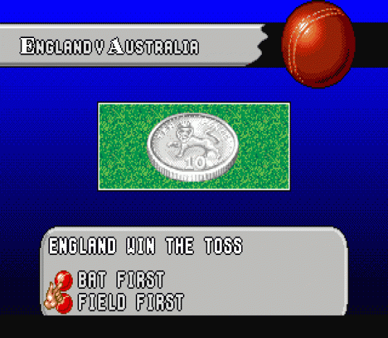 Brian Lara Cricket Screenshot 13 (Sega Mega Drive (EU Version))