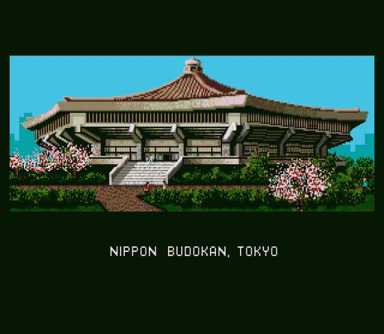 Budokan: The Martial Spirit Screenshot 6 (Sega Mega Drive (EU Version))