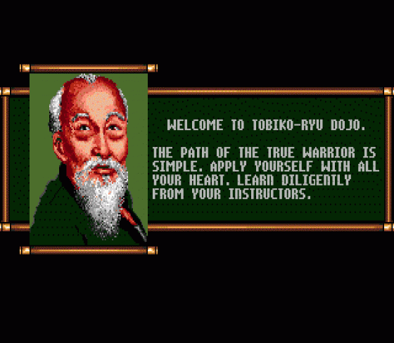 Budokan: The Martial Spirit Screenshot 10 (Sega Mega Drive (EU Version))