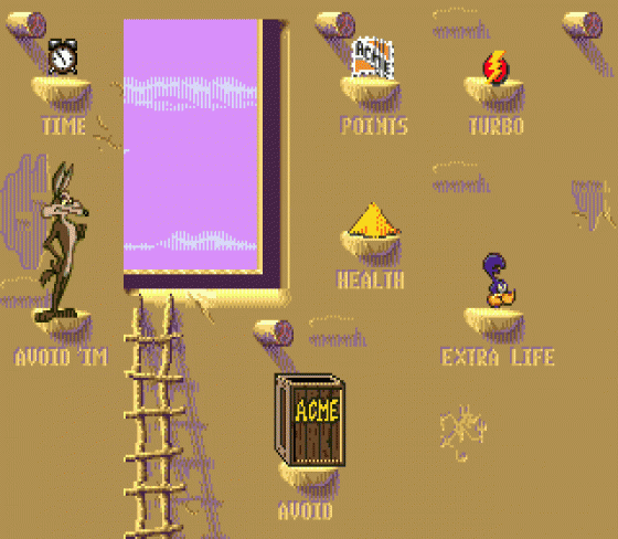 Desert Demolition Starring Road Runner and Wile E. Coyote Screenshot 7 (Sega Mega Drive (EU Version))