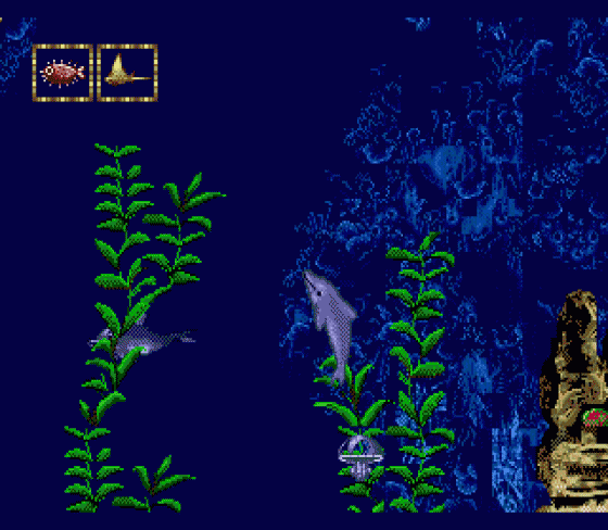 Ecco Jr. Screenshot 23 (Sega Mega Drive (EU Version))