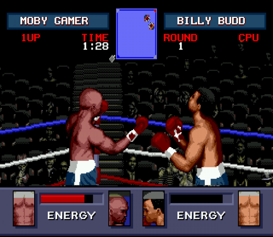 Evander 'Real Deal' Holyfield's Boxing Screenshot 5 (Sega Mega Drive (EU Version))