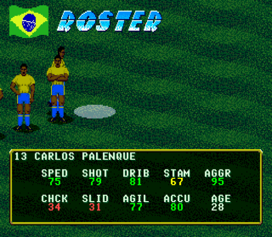 Pele's World Tournament Soccer Screenshot 23 (Sega Mega Drive (EU Version))