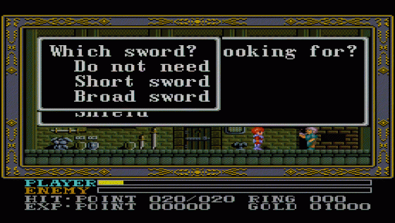 YS III: Wanderers From Ys Screenshot 5 (Super Nintendo (US Version))