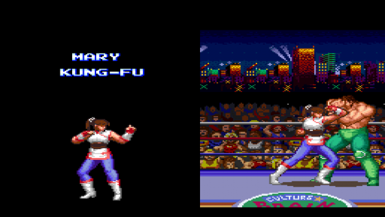 Ultimate Fighter Screenshot 21 (Super Nintendo (US Version))