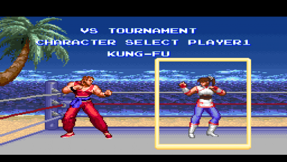 Ultimate Fighter Screenshot 33 (Super Nintendo (US Version))