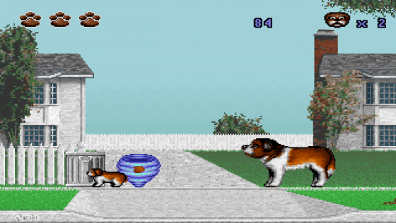 Beethoven: The Ultimate Canine Caper Screenshot 6 (Super Nintendo (US Version))