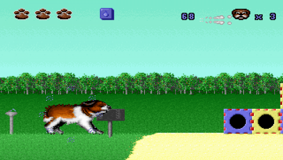 Beethoven: The Ultimate Canine Caper Screenshot 9 (Super Nintendo (US Version))