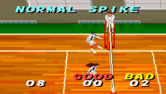 Dig And Spike Volleyball Screenshot 14 (Super Nintendo (US Version))