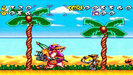 Chester Cheetah: Wild, Wild Quest Screenshot 7 (Super Nintendo (US Version))