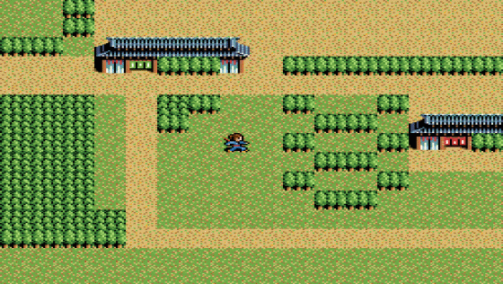 Inindo: Way Of The Ninja Screenshot 8 (Super Nintendo (US Version))