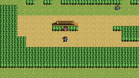 Inindo: Way Of The Ninja Screenshot 15 (Super Nintendo (US Version))