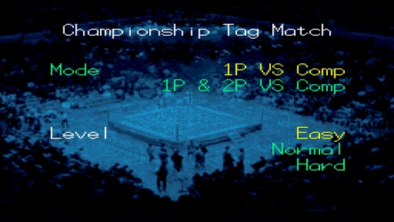 Natsume Championship Wrestling Screenshot 8 (Super Nintendo (US Version))