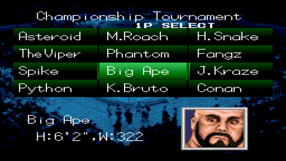 Natsume Championship Wrestling Screenshot 11 (Super Nintendo (US Version))