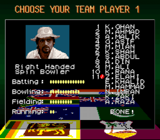 Super International Cricket Screenshot 6 (Super Nintendo (EU Version))