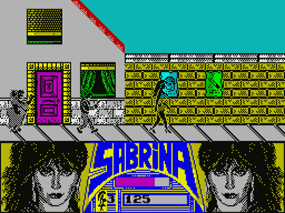 Sabrina Screenshot 13 (Spectrum 48K)