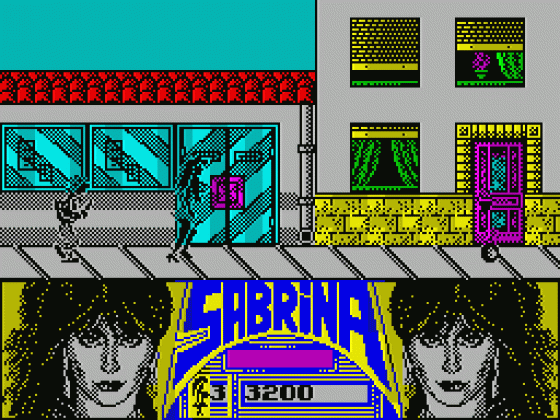 Sabrina Screenshot 20 (Spectrum 48K)