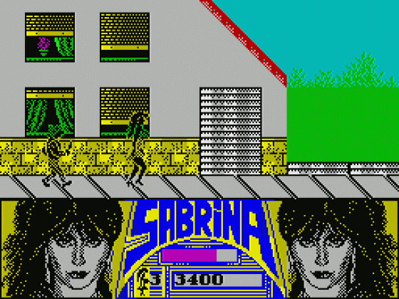 Sabrina Screenshot 21 (Spectrum 48K)