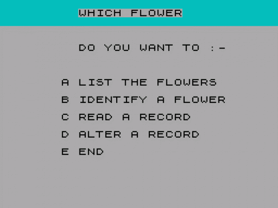 Which Flower? Screenshot