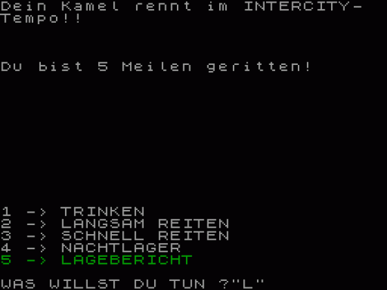 Kamelreiten Screenshot