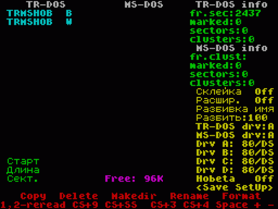 TR-DOS/MS-DOS Converter Screenshot