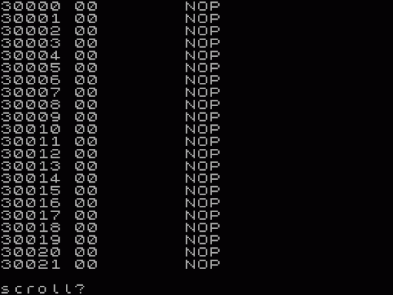 Z80-Disassembler Screenshot