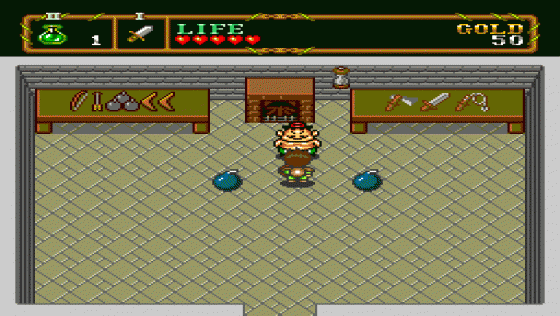 Neutopia II Screenshot 10 (PC Engine (EU Version)/TurboGrafix-16 (US Version))