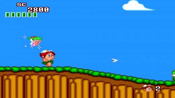 New Adventure Island Screenshot 12 (PC Engine (EU Version)/TurboGrafix-16 (US Version))