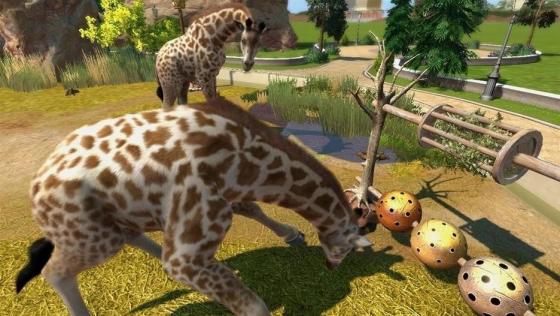 Zoo Tycoon Screenshot 5 (Xbox One (EU Version))