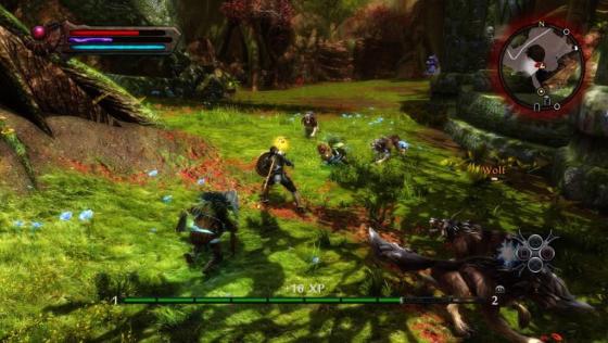 Kingdoms Of Amalur: Re-Reckoning Screenshot 8 (Xbox One (EU Version))