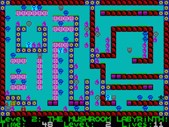 Deadly Labyrinth Of Lord Xyrx Screenshot 5 (ZX Vega)