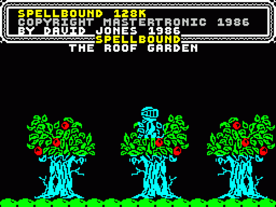 Spellbound Screenshot 7 (ZX Vega)