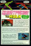 The Hulk Back Cover