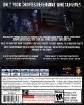 Until Dawn Back Cover