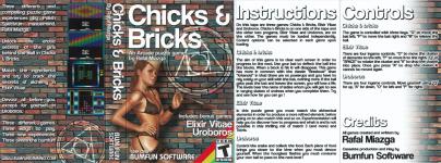 Chicks & Bricks Front Cover