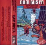 Dam Busta Front Cover