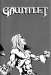 Gauntlet Inner Cover