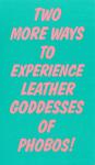 Leather Goddesses of Phobos Inner Cover