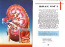 The Living Body Inner Cover