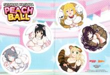 Senran Kagura Peach Ball Inner Cover