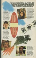 Your Sinclair #36 scan of page 107