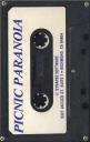 Picnic Paranoia Cassette Media